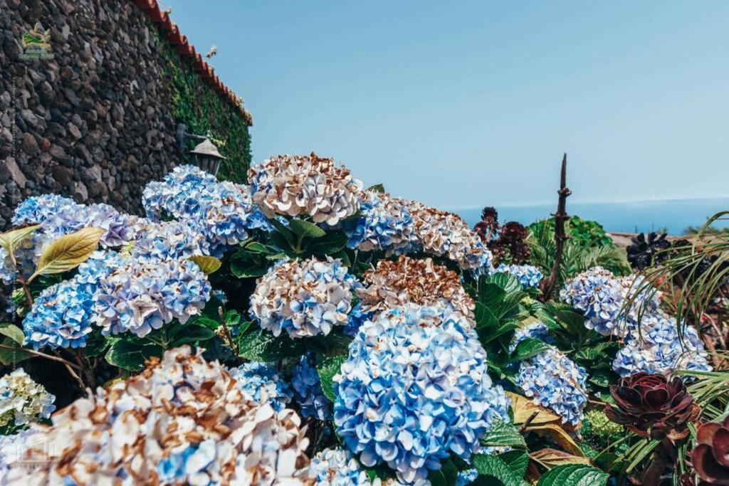 Casas Corea ปุนตากอร์ดา ภายนอก รูปภาพ