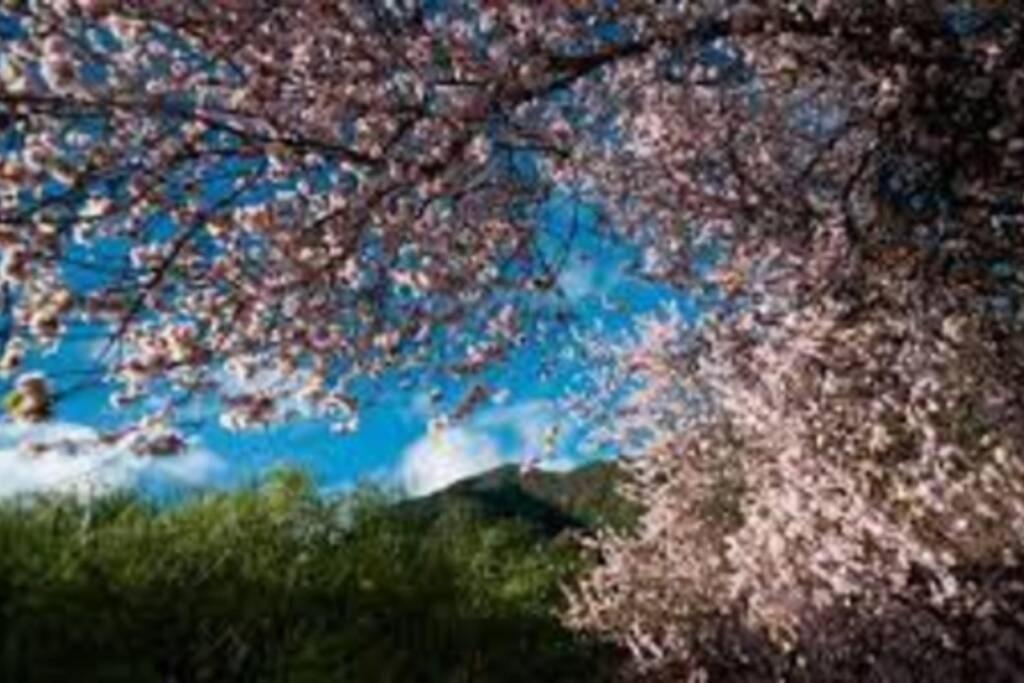 Casas Corea ปุนตากอร์ดา ภายนอก รูปภาพ